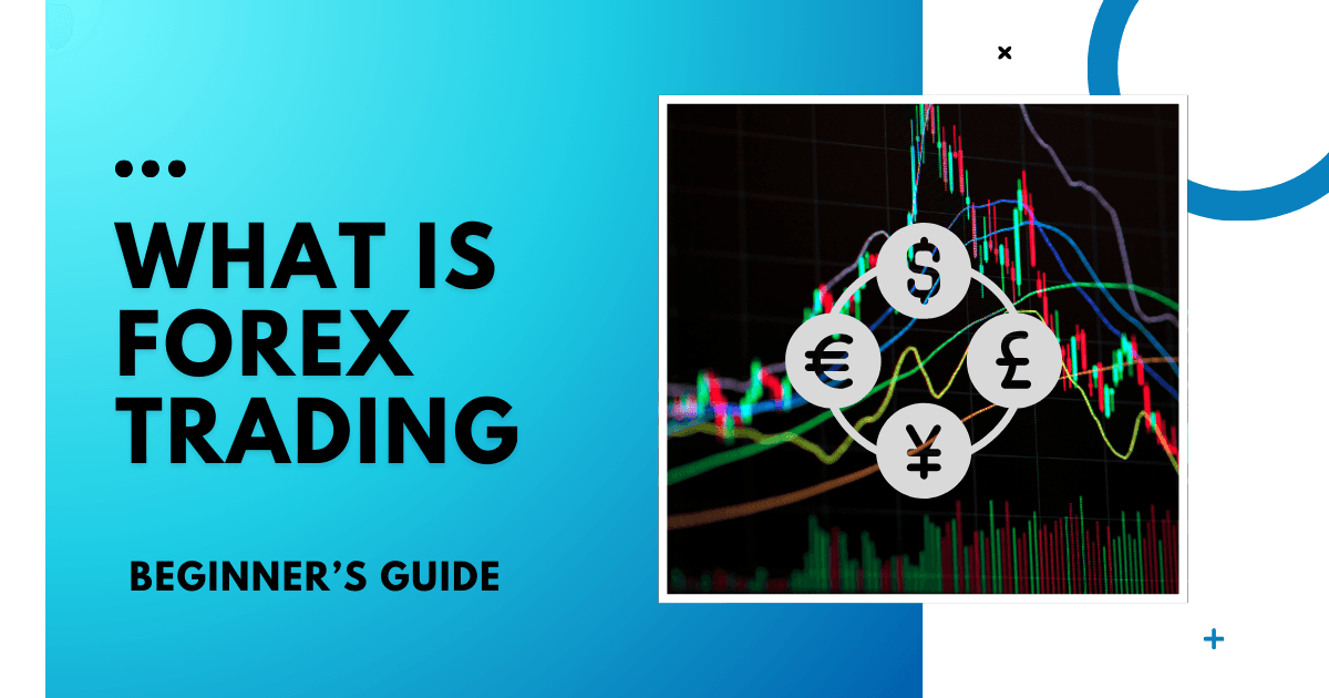 A Beginner’s Guide to Forex Trading